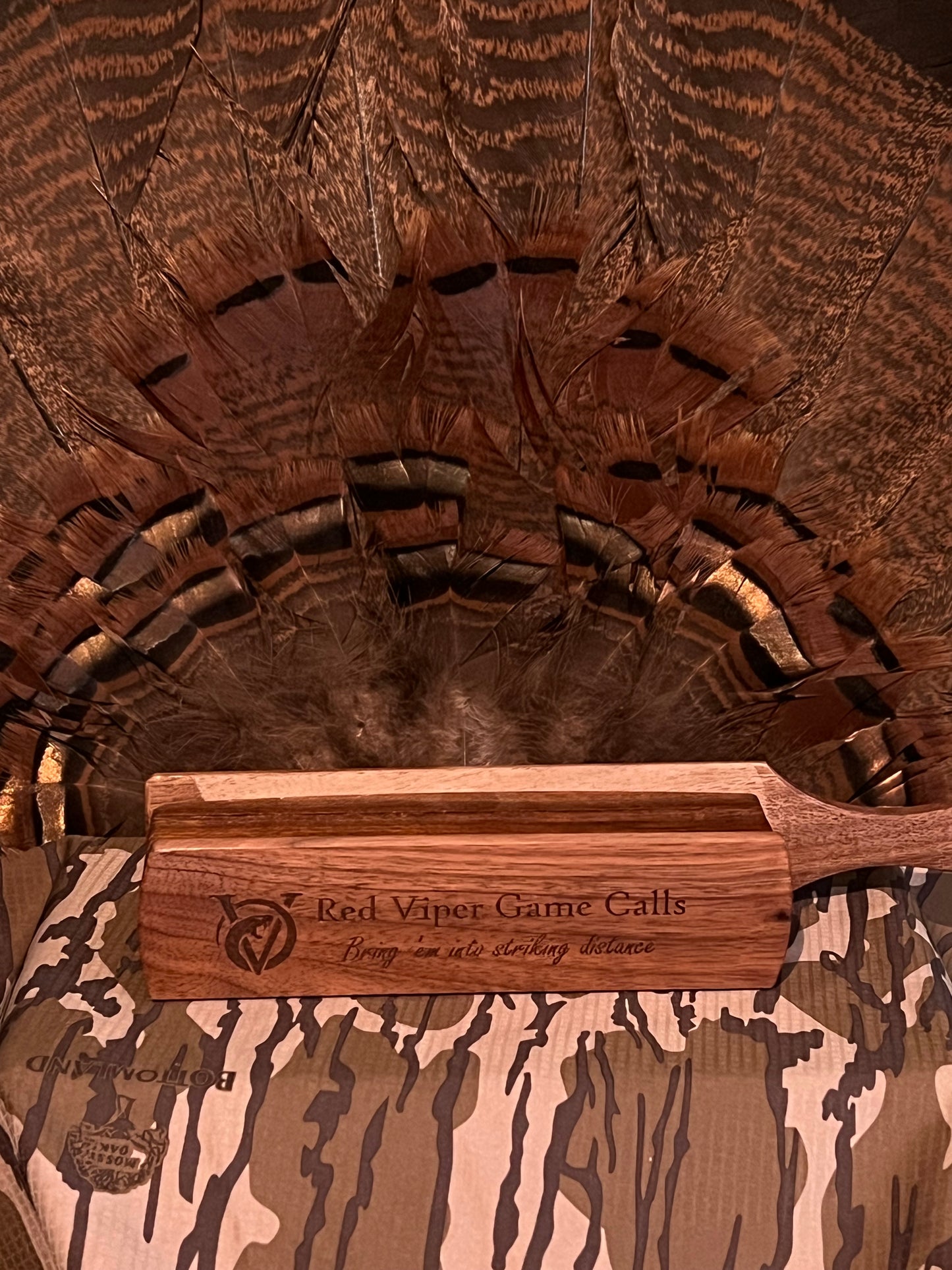 Walnut Box Call