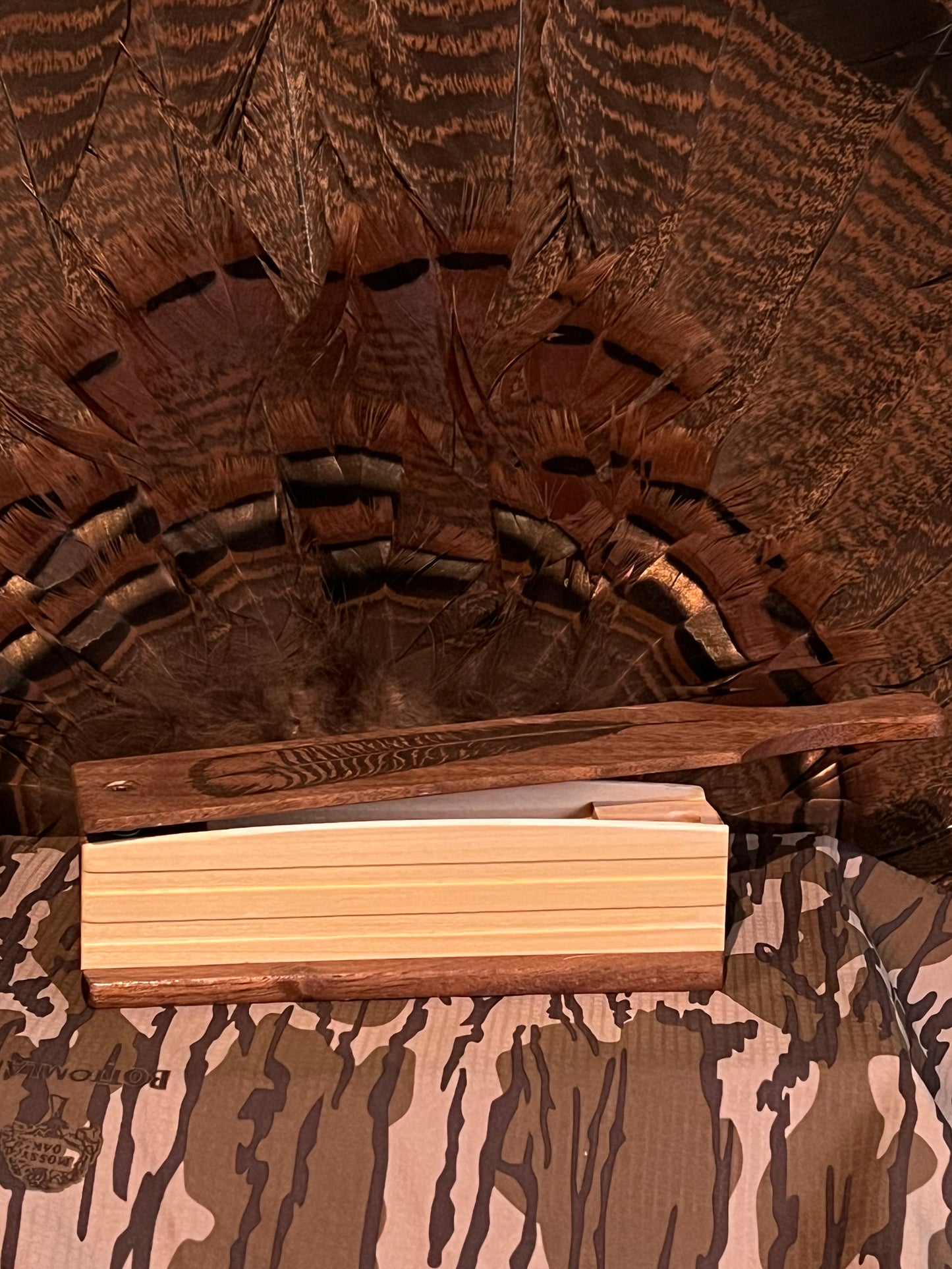 Poplar & Walnut Box Call