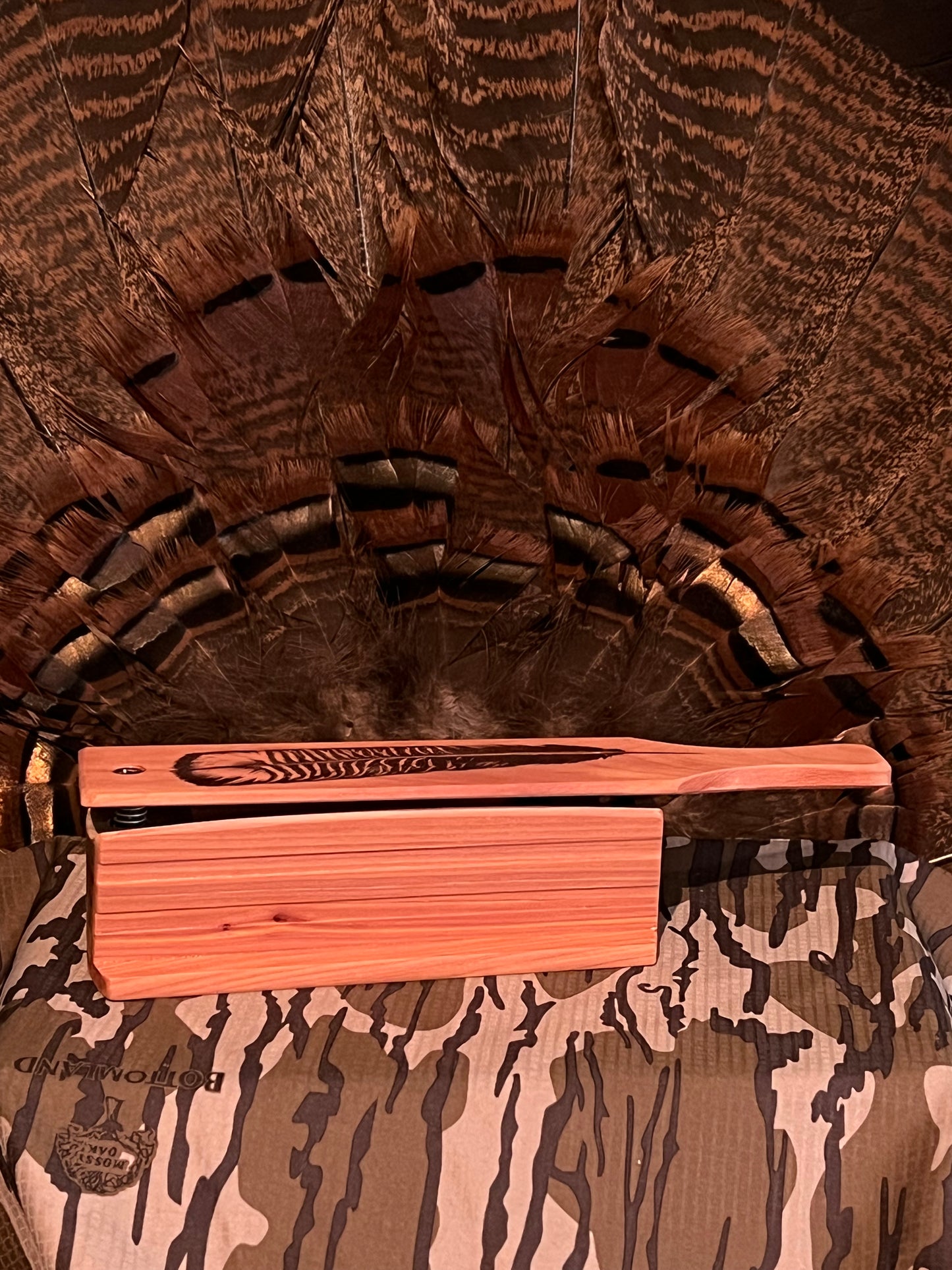 Cedar Box Call